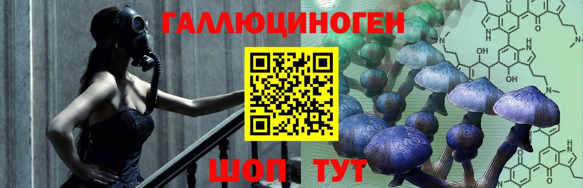 Галлюциногенные грибы Psilocybine cubensis  купить наркотик  Уварово  Вход с VPN 